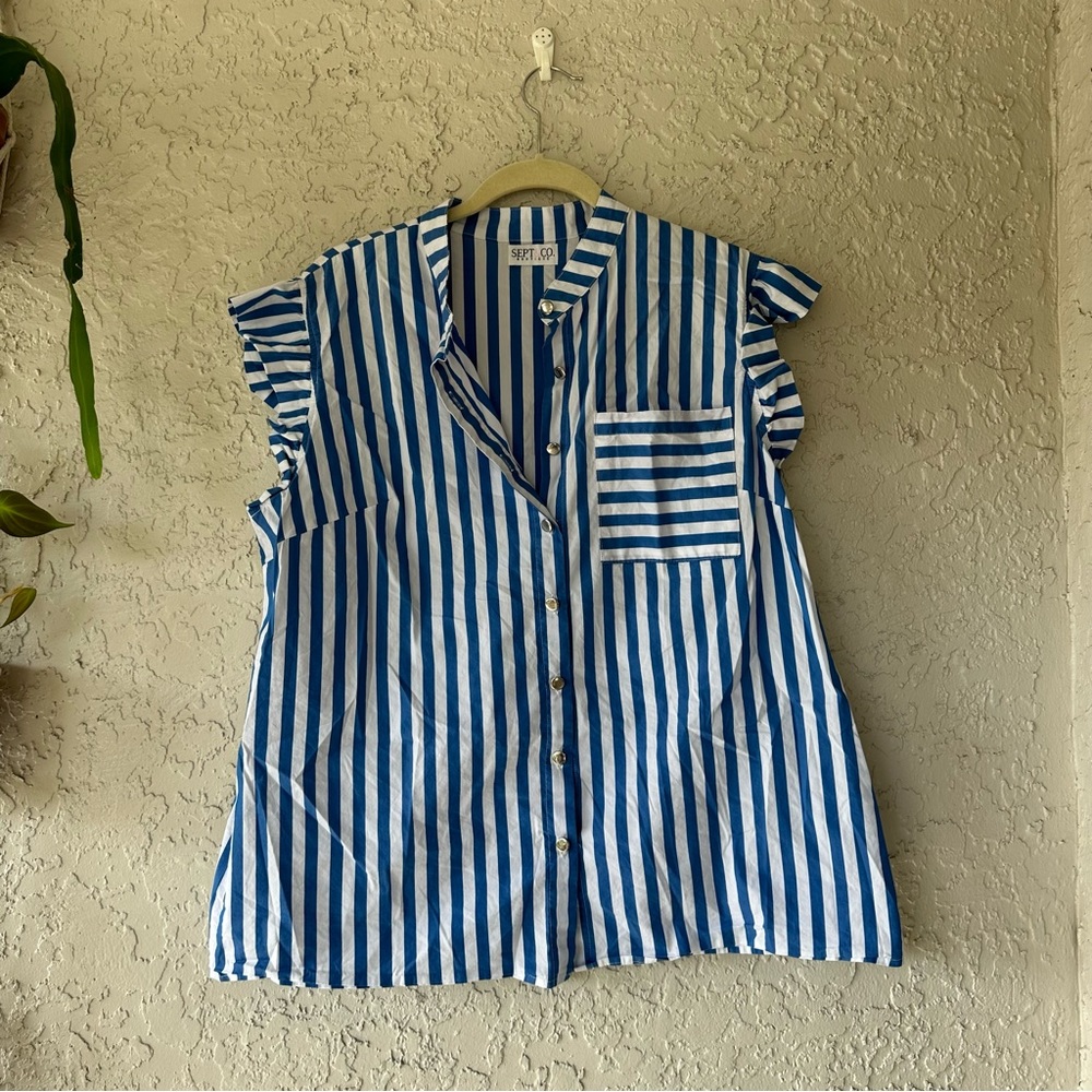 Cap Sleeve blue/white striped blouse